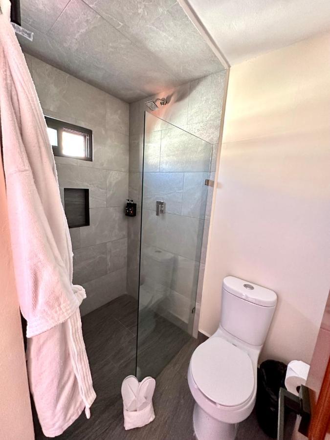 Suites Del Jardin Principal Guanajuato Zewnętrze zdjęcie