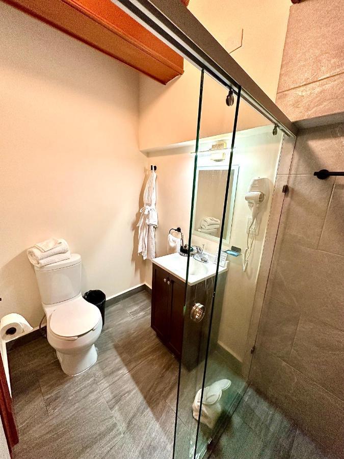 Suites Del Jardin Principal Guanajuato Zewnętrze zdjęcie